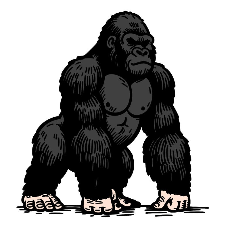 gorilla