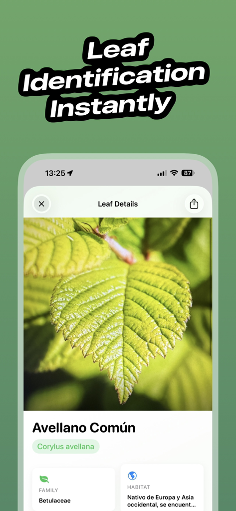 Leaf Identifier - LeafID - Interfaz de la aplicación LeafID que muestra un resultado detallado de identificación de planta para una hoja
