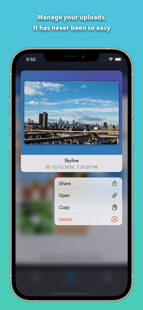 ImgBB Uploader App-Oberfläche zeigt Verwaltungsoptionen für ein hochgeladenes Skyline-Bild