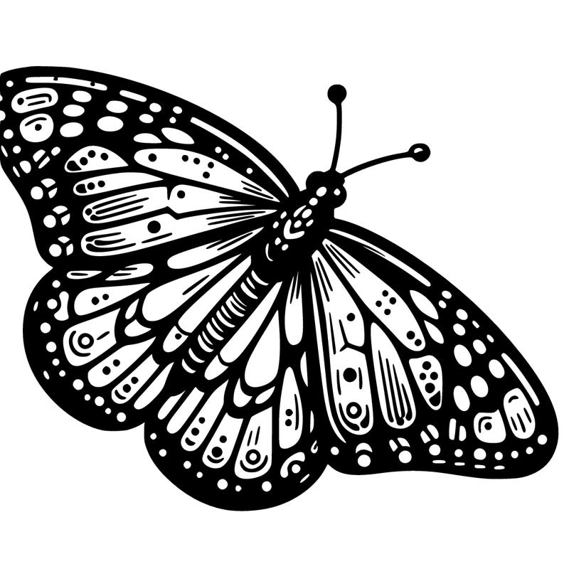 monarch butterfly (danaus plexippus)