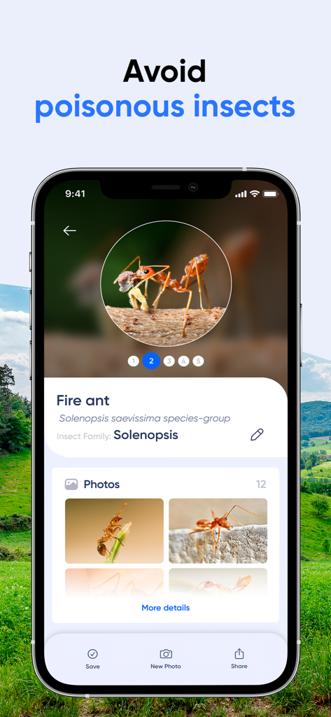 Mobile app screen identifying a fire ant to help avoid poisonous insects