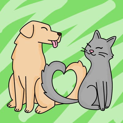 animals_22