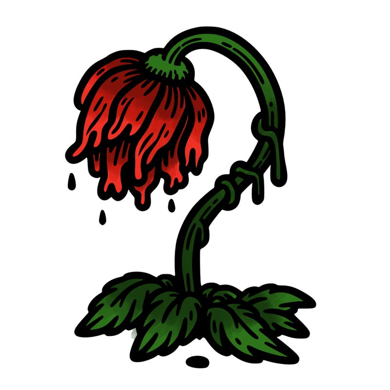 wilting flower