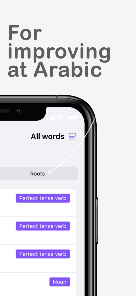 Qamoos Arabic Dictionary - Interface of the Qamoos Arabic Dictionary mobile app showing word roots and verb classifications for learning Arabic