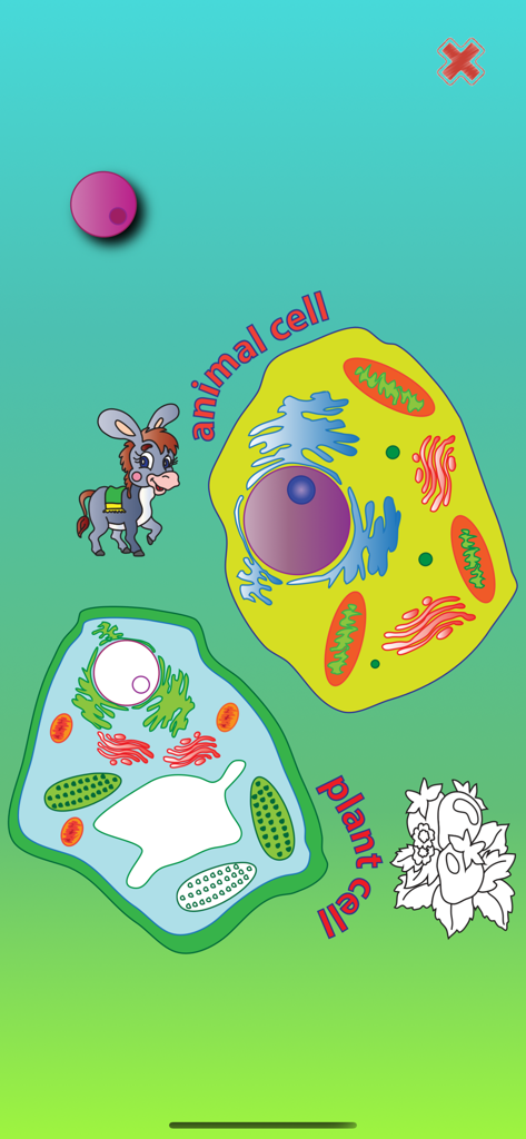 Gofun - Puzzle científico educativo de la aplicación Gofun que muestra diagramas de células animales y vegetales para niños