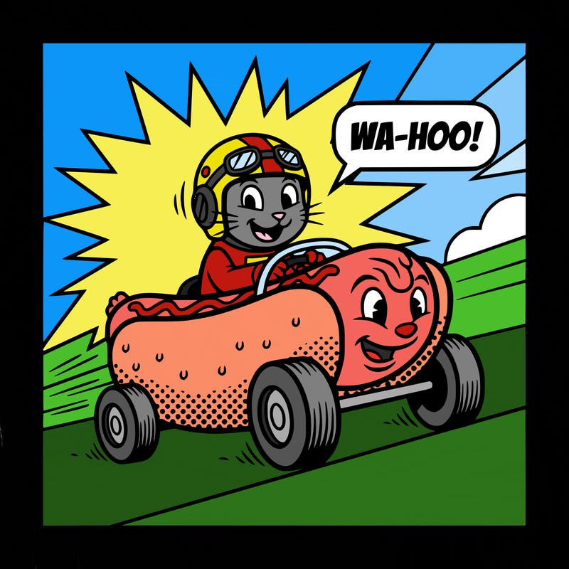 cat driving a hotdog