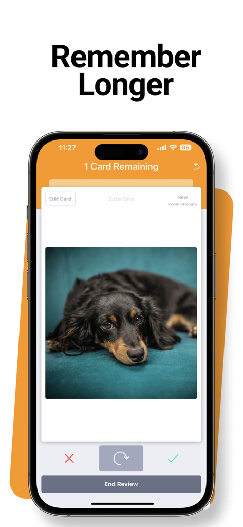 SmartCards plus 앱의 플래시카드 복습 화면. iPhone에 있는 개의 사진을 특징으로 함