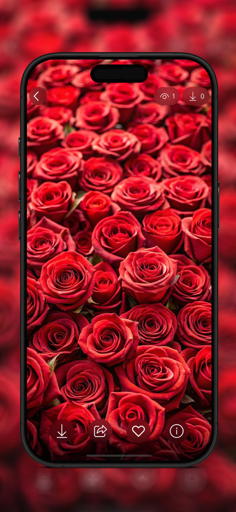 Red Rose Wallpapers Flowers - Graphics & Design App | MWM