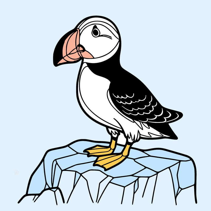 create a simple outline of a puffin standing on a cliff, with its colorful beak and webbed feet emphasized.