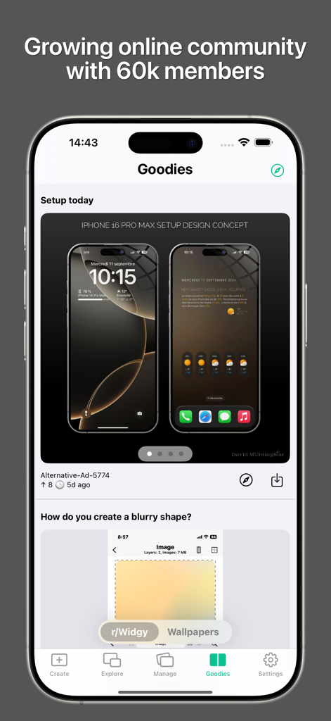 Widgy app interface showing community designs and setup concepts for iOS customization.