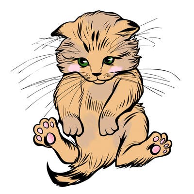 animals_20