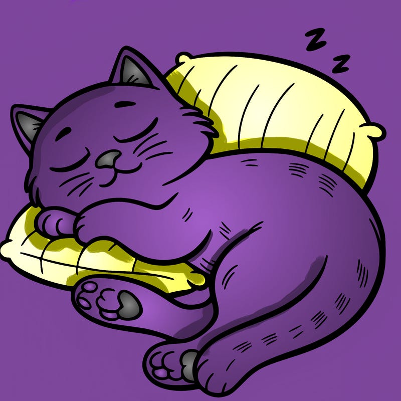 catnap