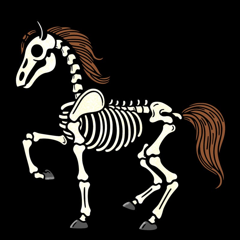 skeleton horse