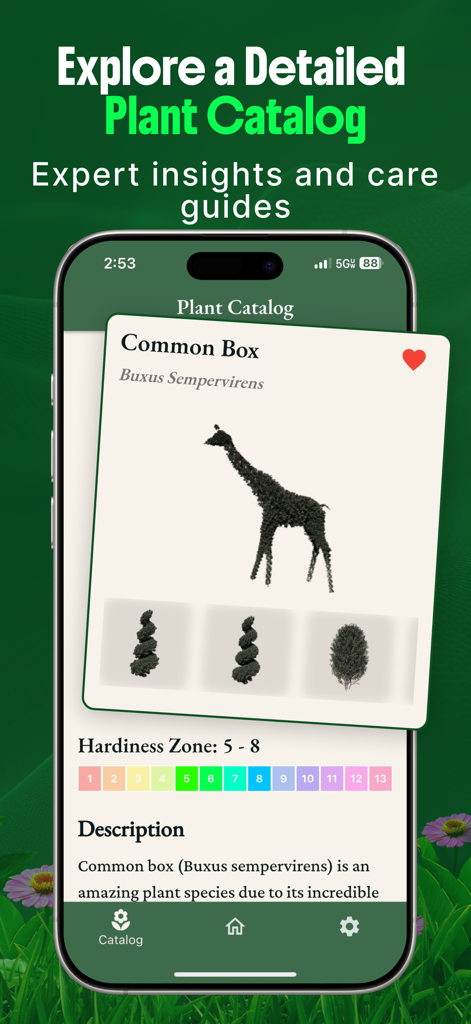 Bildschirm mit detailliertem Pflanzenkatalog, der Pflegeinformationen und Klimazonen für die Immergrüne Buchsbaum Pflanze anzeigt