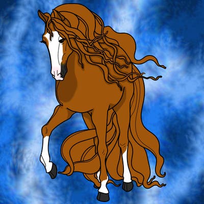 animals_11