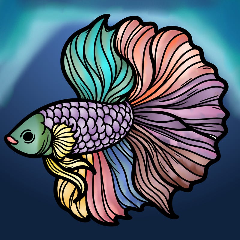 betta fish