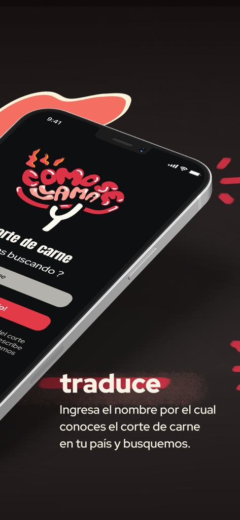 Como se Llama - Smartphone screen displaying the Como se Llama app meat cut translation interface