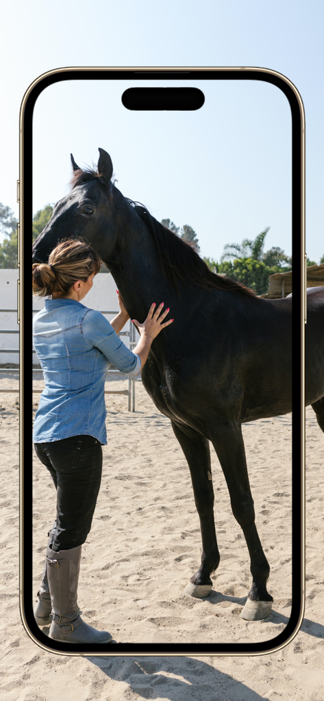 Equestrian App - A woman petting a black horse in an outdoor sand arena