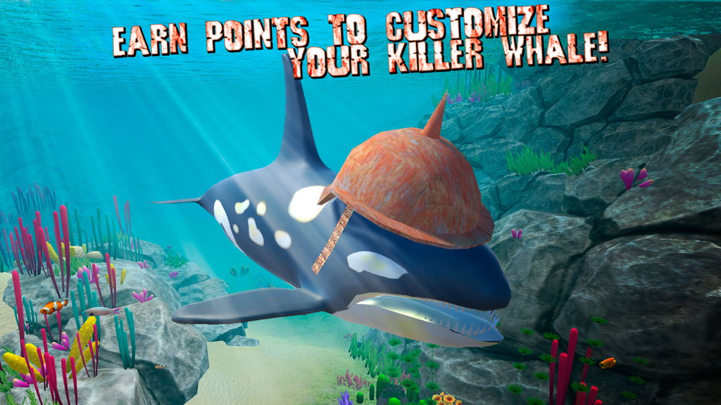 Killer whale wearing a brown hat underwater with customization text