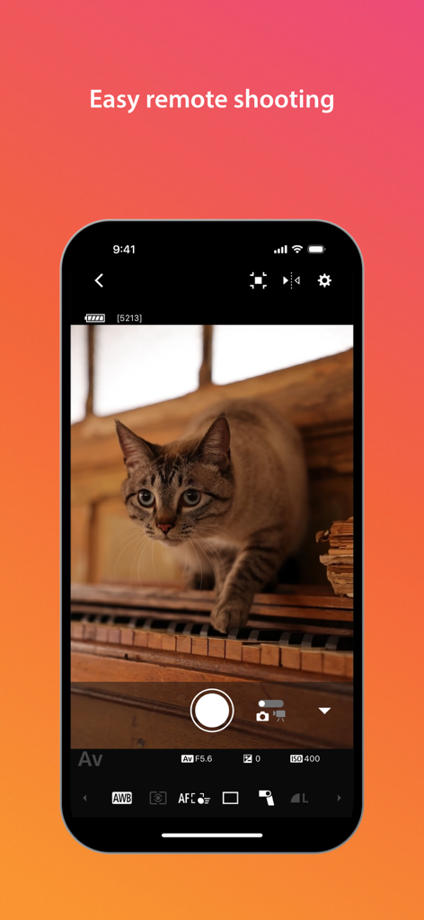 Écran de smartphone affichant l'interface de prise de vue à distance de Canon Camera Connect avec une vue en direct d'un chat sur un piano