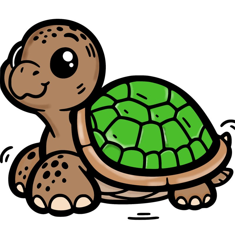 turtle