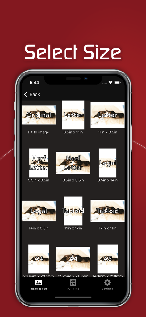 Interfaccia per la selezione delle dimensioni della carta del documento come Letter e A4 nel convertitore Image to PDF