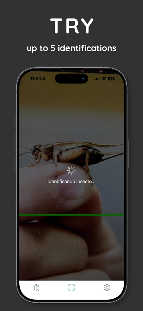 InsectScan - Identify Bugs - Pantalla de un smartphone de la aplicación InsectScan identificando un insecto en un dedo con una línea de escaneo de IA y un titular que ofrece cinco identificaciones gratuitas