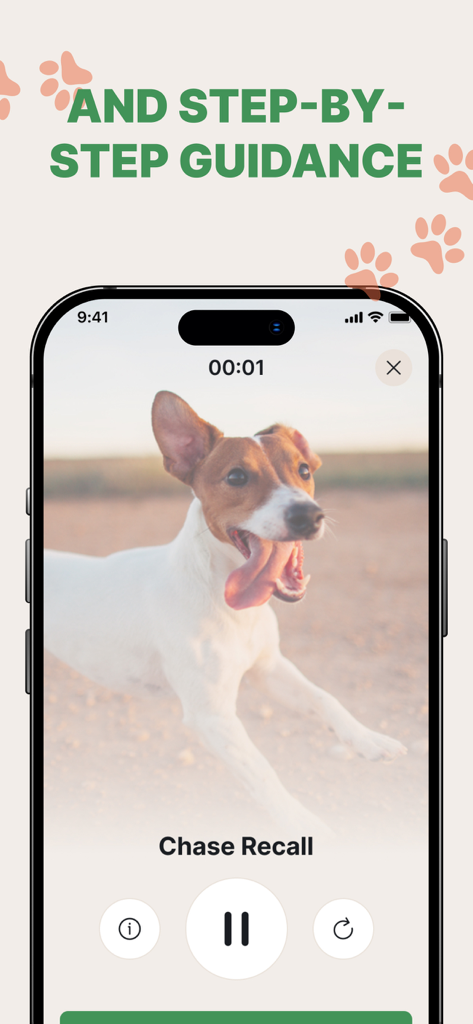 Dog training app tutorial interface showing a video for the chase recall command