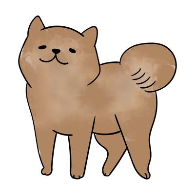 animals_29