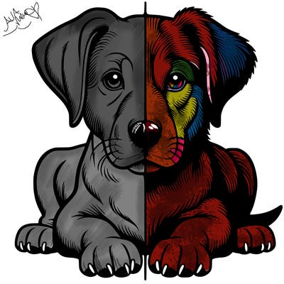 realistic dog split picture