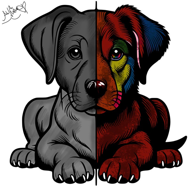 realistic dog split picture