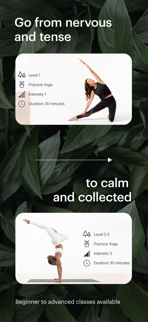 Glo app interface showing yoga classes ranging from beginner fundamentals to advanced sequences.