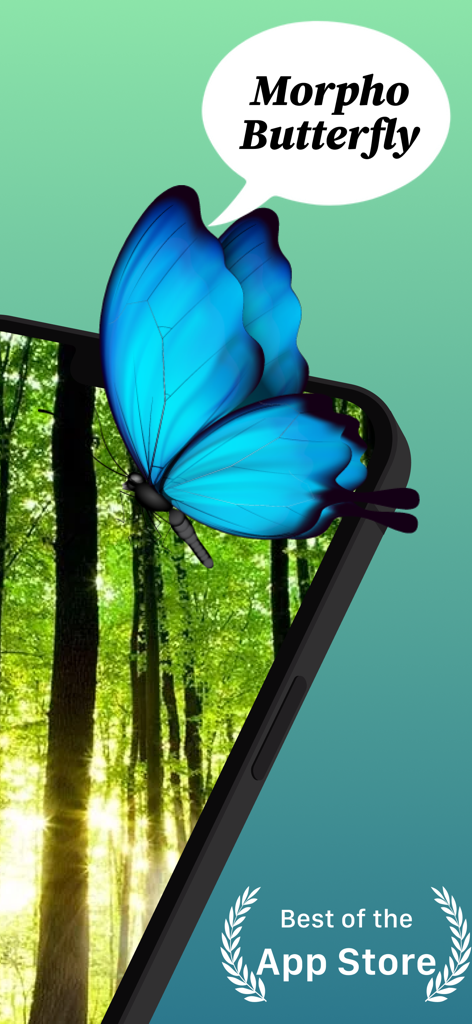 A blue Morpho Butterfly identified on a smartphone screen using an insect scanner app