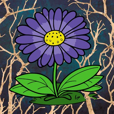 daisy