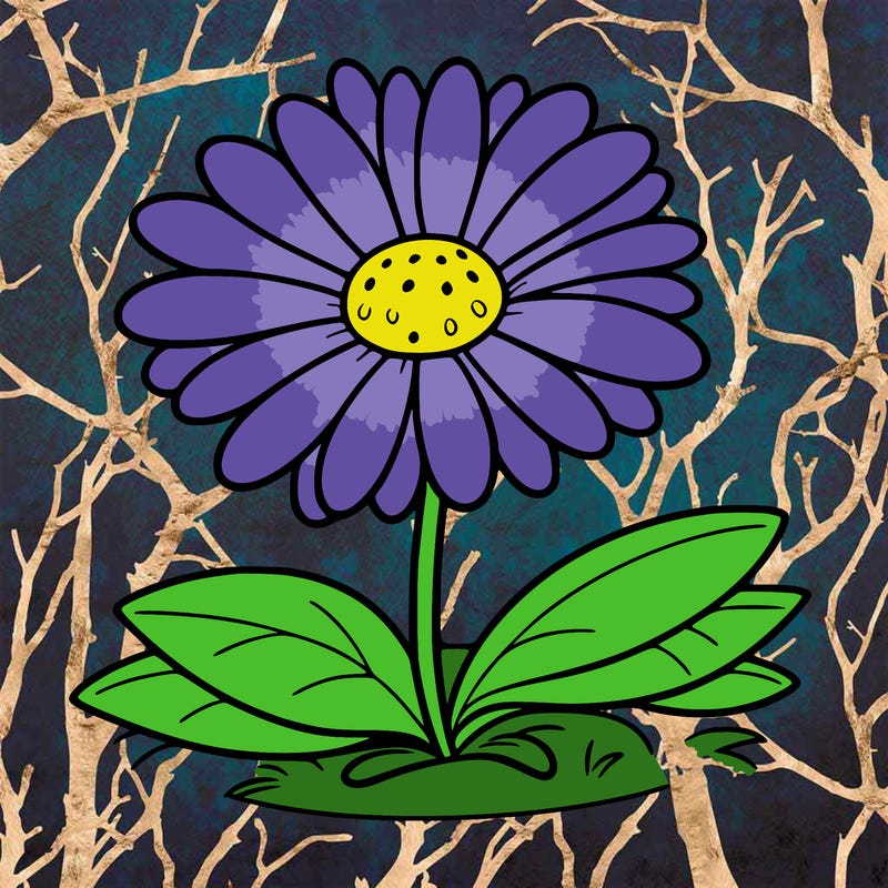 daisy