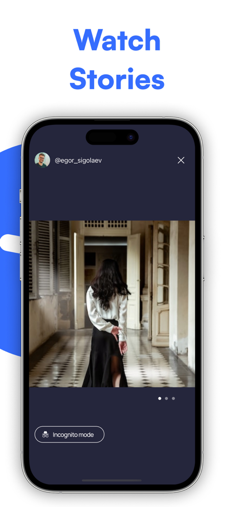 Zippy: IG Unfollowers Tracker - Interfaz de la aplicación Zippy mostrando la función de visualización anónima de historias de Instagram con el modo incógnito activado