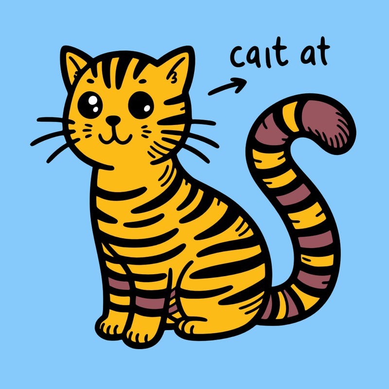 striped cat animal