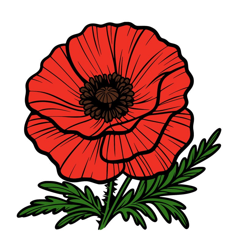 poppy