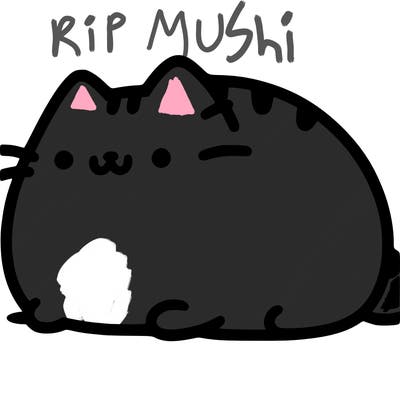 pusheen