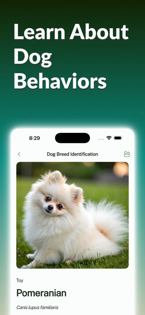 Dog Breed Identifier: Dog Care - Dog Breed Identifier app interface showing a Pomeranian identification result