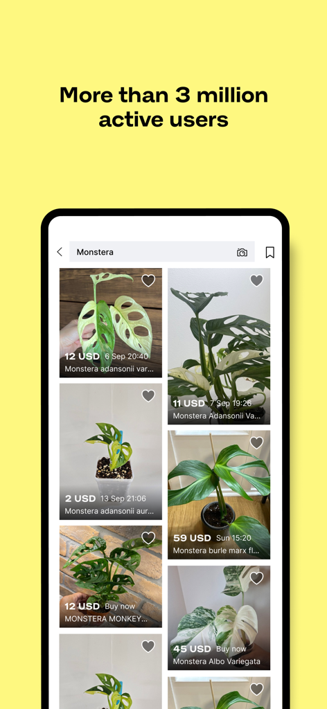 Tradera mobile app interface showing search results for Monstera plants with individual product photos and prices in USD