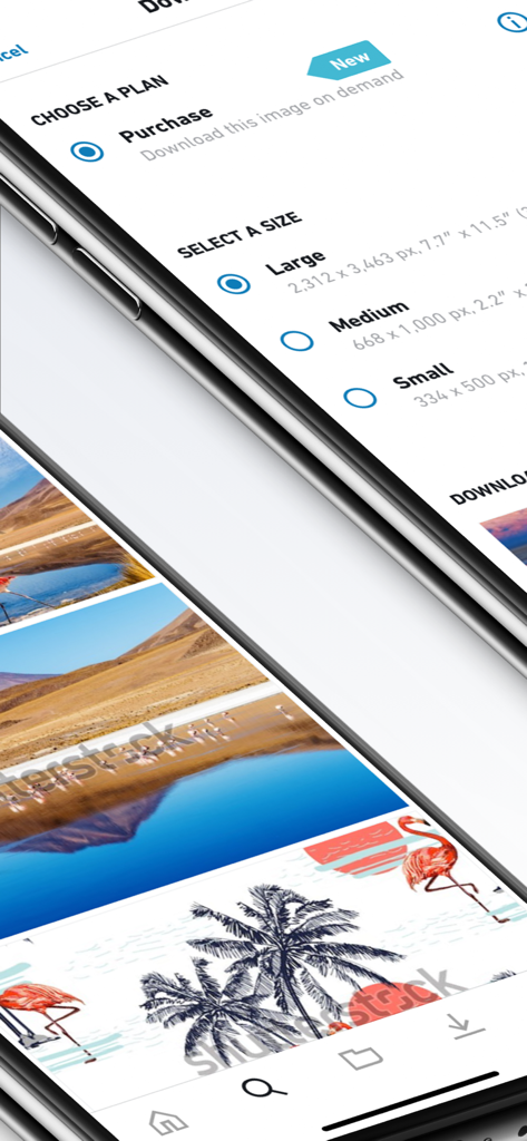 Shutterstock - Stock Photos - Oberfläche der Shutterstock-App zur Auswahl eines Kaufplans und zur Auswahl von Bild-Download-Größen