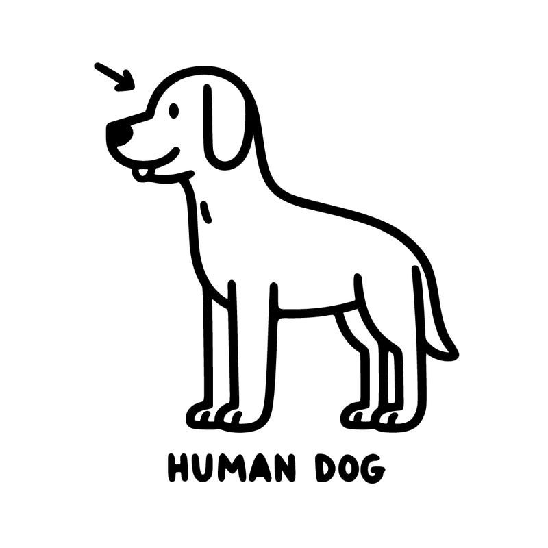 human dog