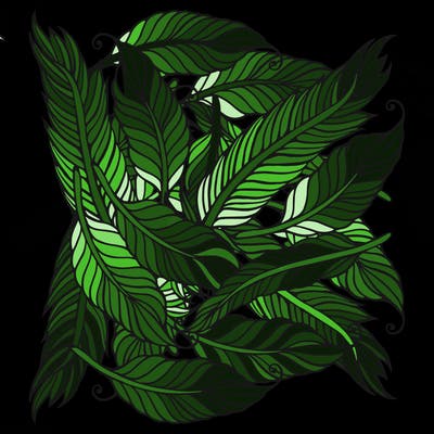 patterns_11
