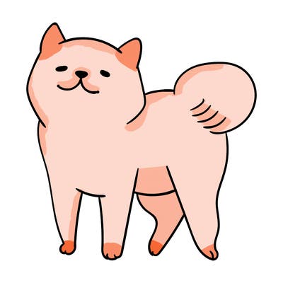 animals_29