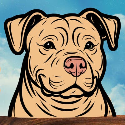 pitbull
