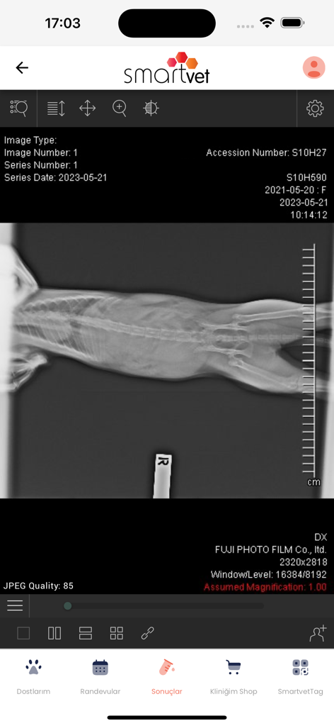 SmartVET - SmartVETアプリの医療結果セクション内に表示されたペットのX線スキャン画像