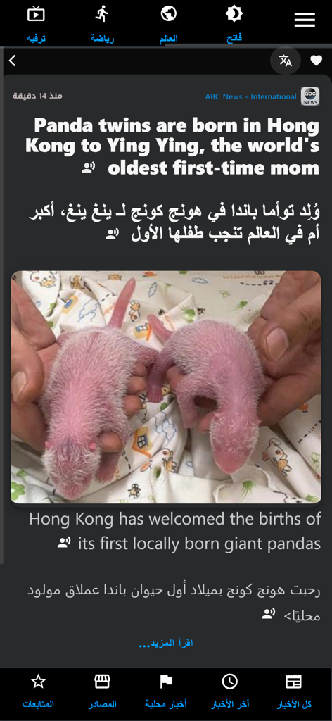 Spark News Egypt 모바일 앱 인터페이스의 판다 쌍둥이에 대한 이중 언어 뉴스 기사.