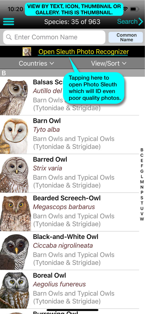 iBird Pro Guide to Birds - iBird Proアプリのフクロウの種のリスト。イラストと学名が表示されています。