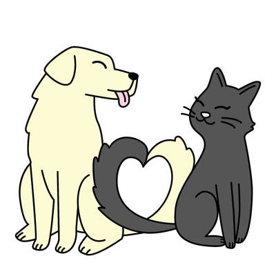 animals_22